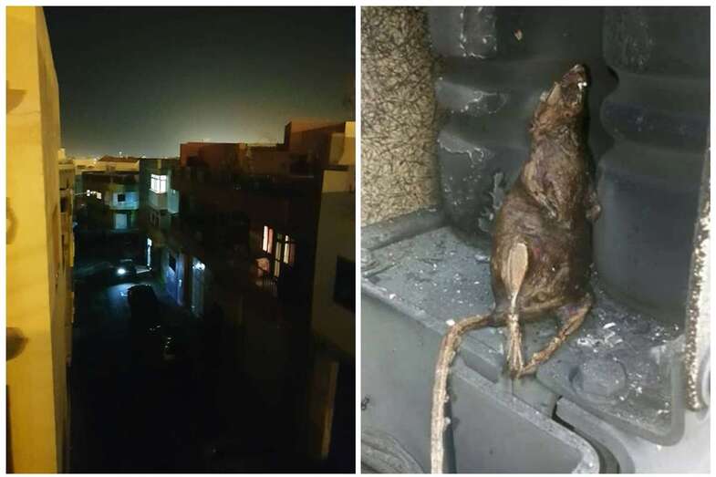 Calle sin alumbrado público, esta noche en Casas Nuevas, e imagen de archivo de un ratón electrocutado en un cuadro de luz (Foto TA)